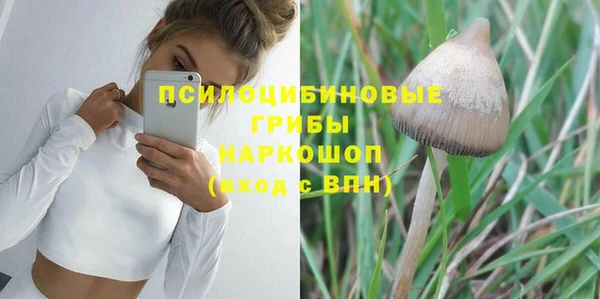 эйфоретик Елабуга