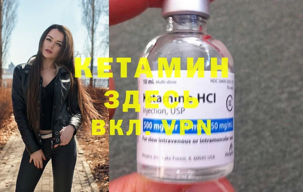 прущие грибы Елизово